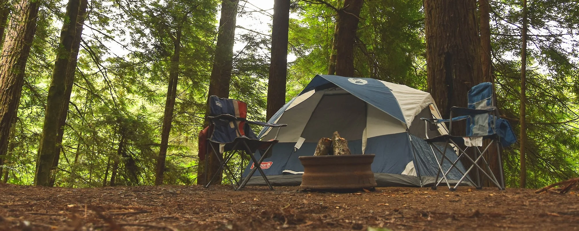 tent in forest