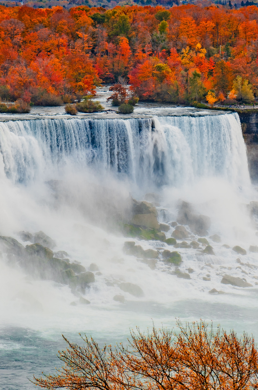 American Thanksgiving