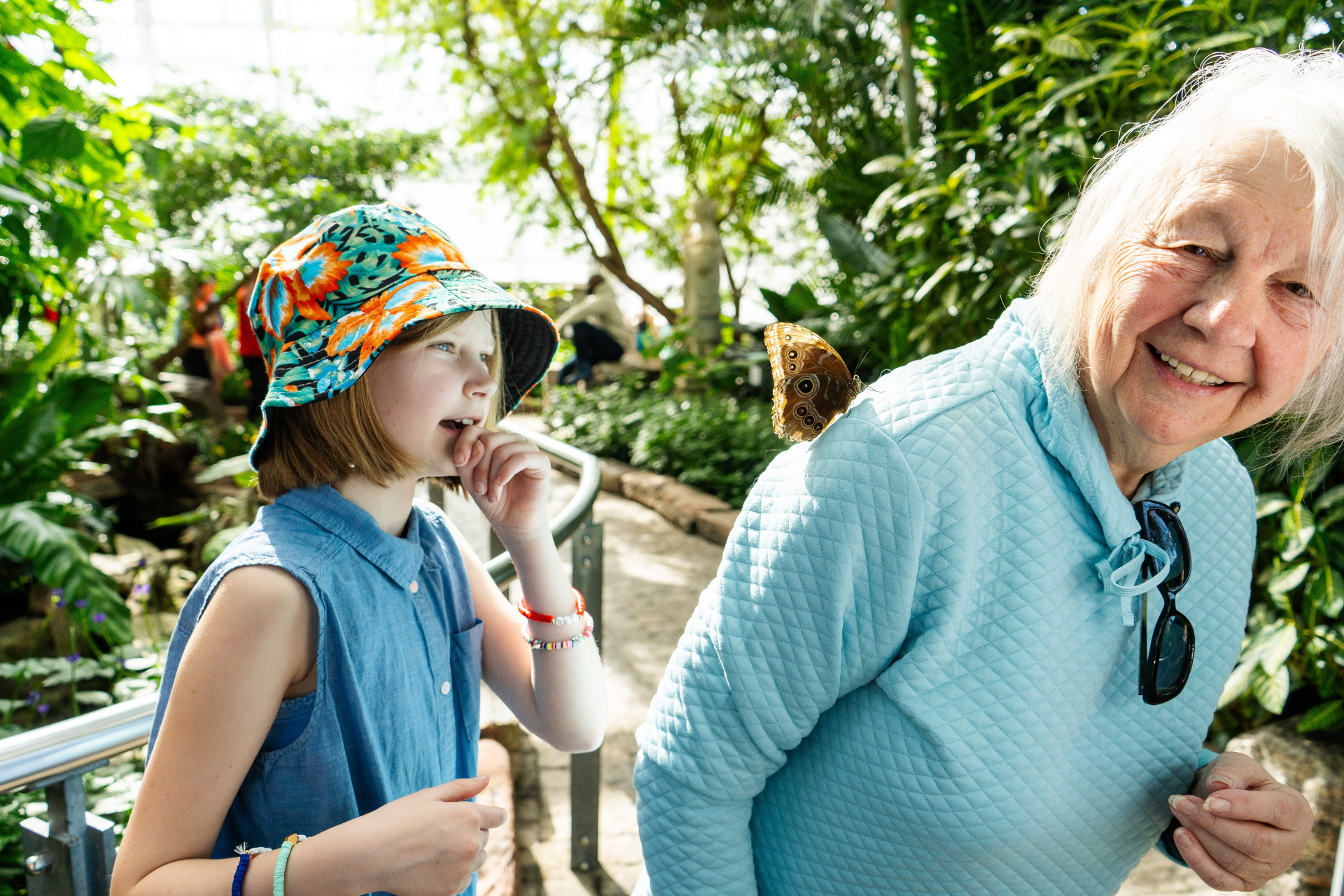 Butterfly Conservatory 