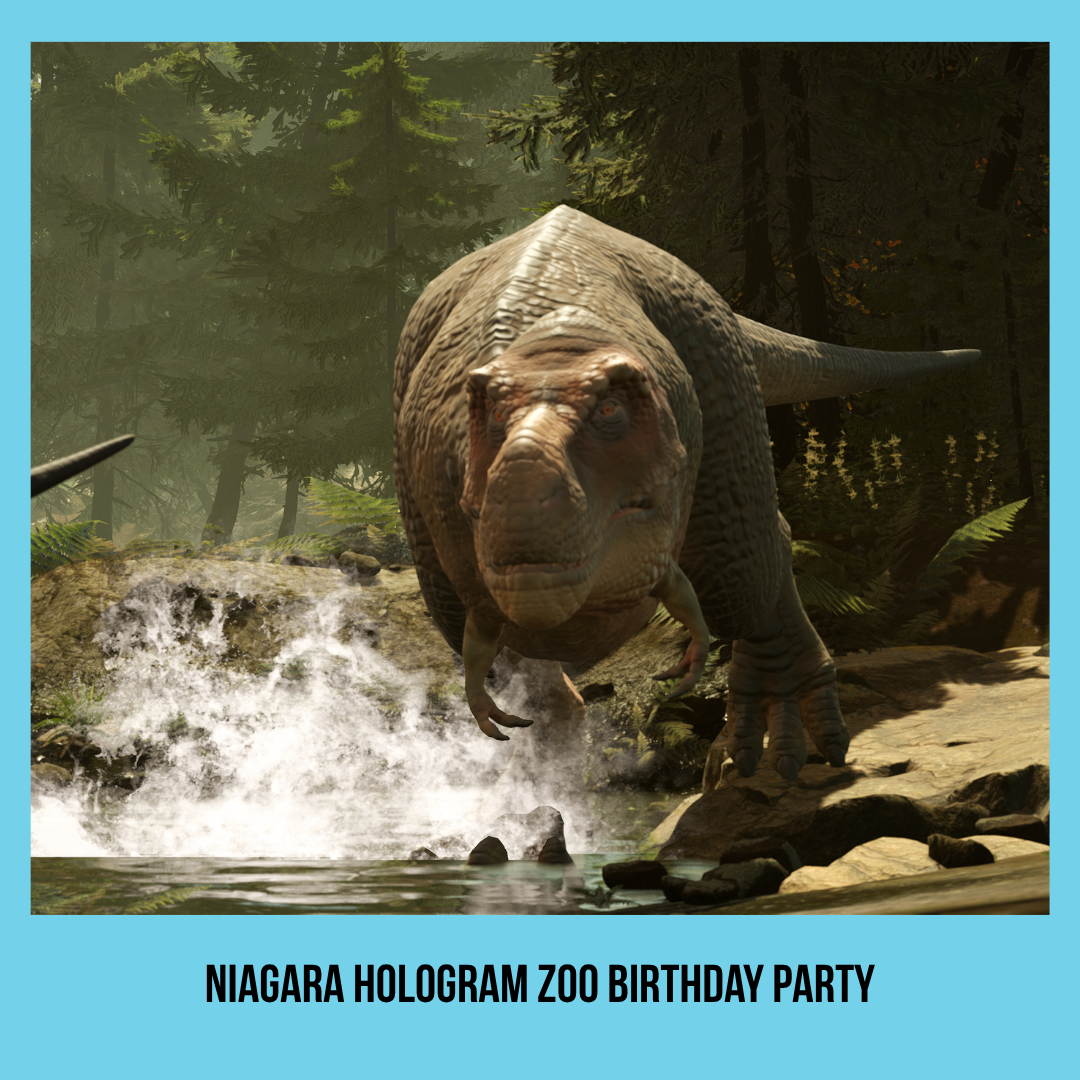  Niagara Hologram Zoo Birthday Party