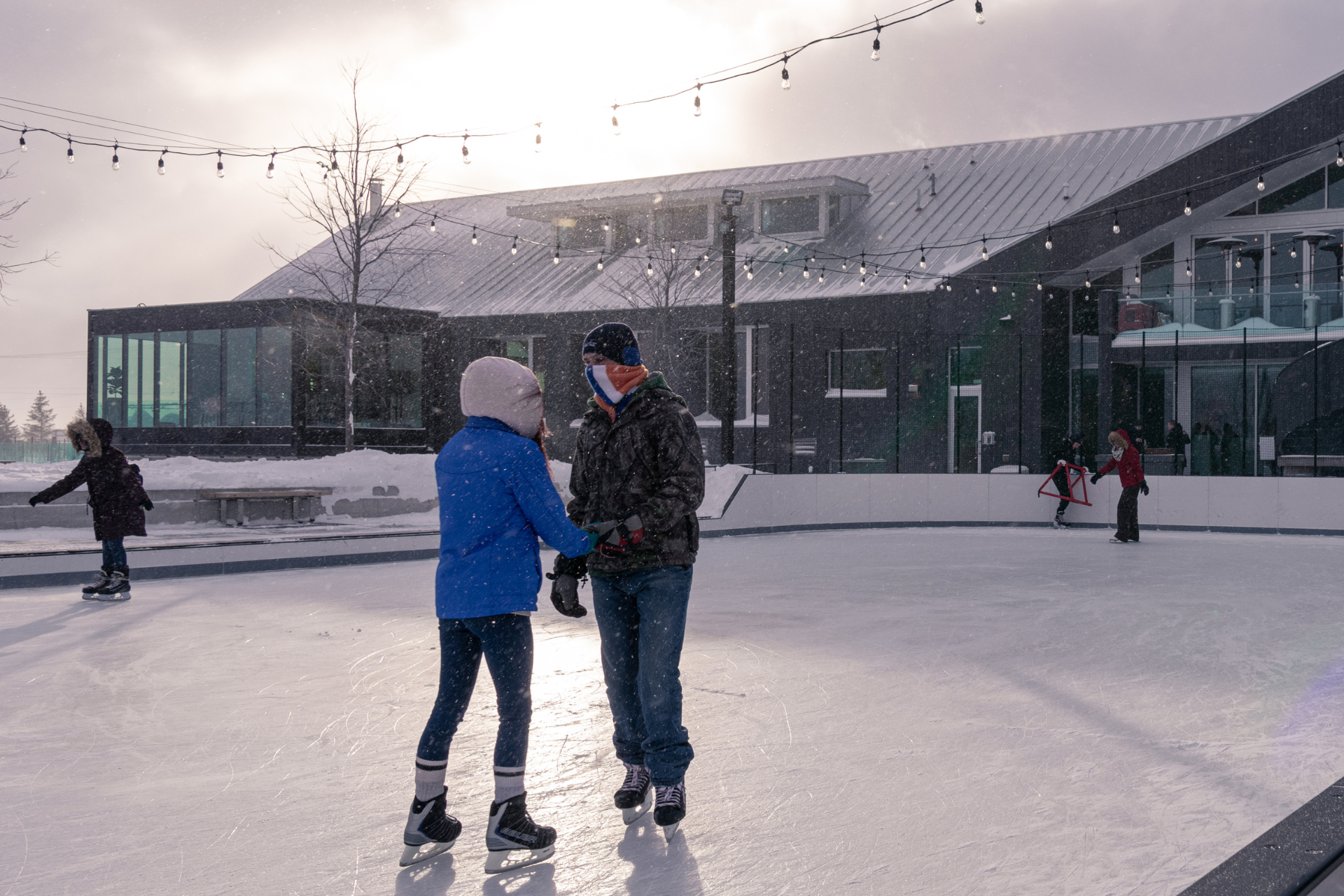 Wayne Gretzky Estates 